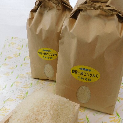 【令和3年産】つきたて米　御牧ケ原産こしひかり　20kg(10kg×2袋)