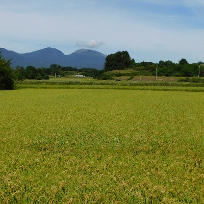 【令和3年産】つきたて米　御牧ケ原産こしひかり　20kg(10kg×2袋)