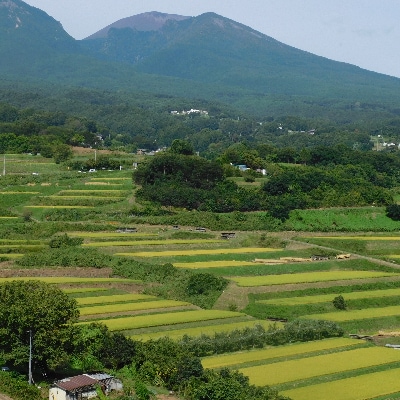 【令和3年産】つきたて米　小諸産こしひかり 5kg