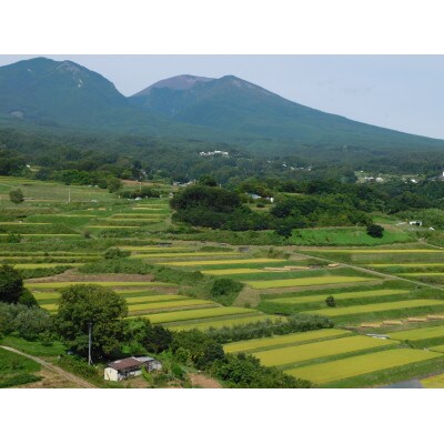 【令和4年産】つきたて米　小諸産こしひかり10kg