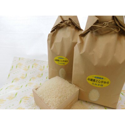 【令和4年産】つきたて米　小諸産こしひかり 20kg(10kg×2袋)