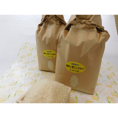【令和4年産】つきたて米　御牧ケ原産こしひかり 20kg(10kg×2袋)