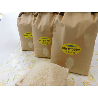 【令和4年産】つきたて米　御牧ケ原産こしひかり 30kg(10kg×3袋)