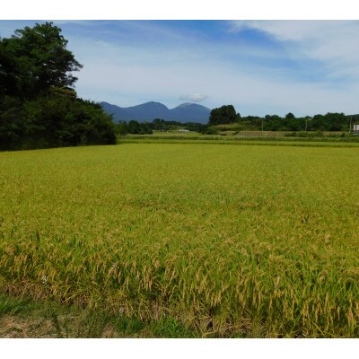 【令和4年産】つきたて米　御牧ケ原産こしひかり 30kg(10kg×3袋)