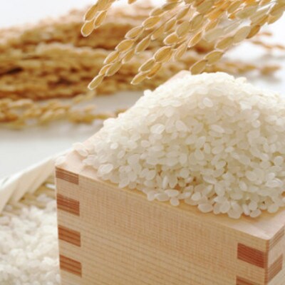 御牧ヶ原産 こしひかり 精米 5kg