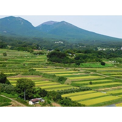 2022年4月発送開始『定期便』【令和3年度】つきたて米 小諸産こしひかり 10kg全6回