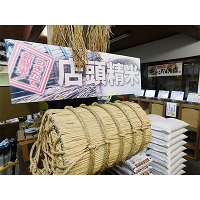2022年4月発送開始『定期便』【令和3年度】つきたて米 小諸産こしひかり 10kg全6回