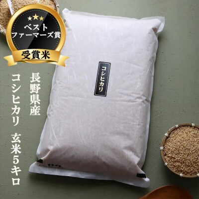 【 ベストファーマーズ賞受賞 】 コシヒカリ 5キロ 令和三年産 (玄米)