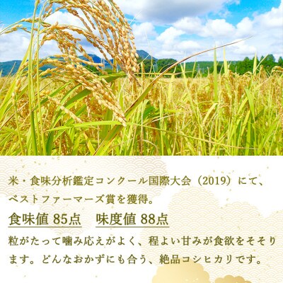 【 ベストファーマーズ賞受賞 】 コシヒカリ 5キロ 令和三年産 (無洗米・精米)
