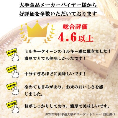 特別優秀賞 長野県産 ミルキークイーン 10kg (無洗米) ＜11月中旬より順次発送＞