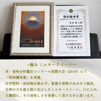 特別優秀賞 長野県産 ミルキークイーン 20kg (無洗米) ＜11月中旬より順次発送＞