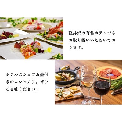 2022年2月発送開始『定期便』【ベストファーマーズ賞】長野県産コシヒカリ 玄米  2キロ 全4回