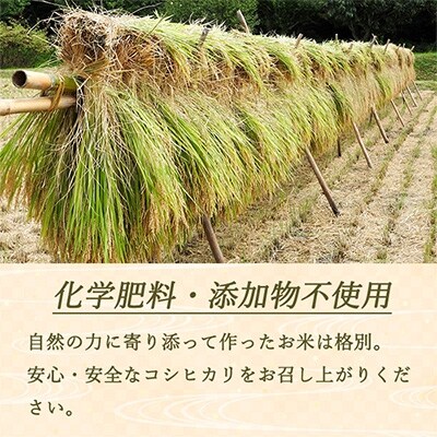2022年2月発送開始『定期便』【ベストファーマーズ賞】長野県産コシヒカリ無洗米 2キロ 全12回