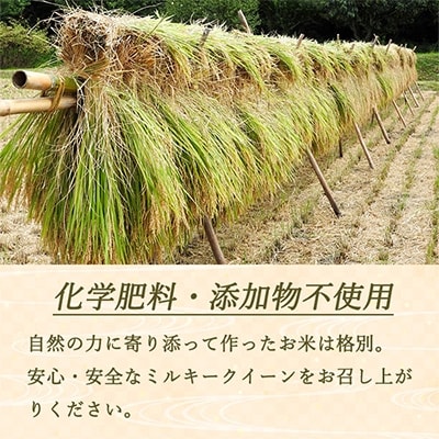 2022年2月発送開始『定期便』【特別優秀賞】長野県産ミルキークイーン 無洗米  2キロ 全4回