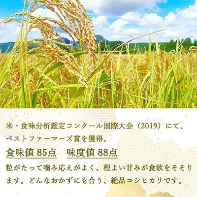 2022年2月発送開始『定期便』【ベストファーマーズ賞】長野県産コシヒカリ 無洗米 5キロ 全4回