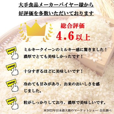 2023年1月発送開始『定期便』【特別優秀賞】長野県産ミルキークイーン 無洗米 2キロ 全6回