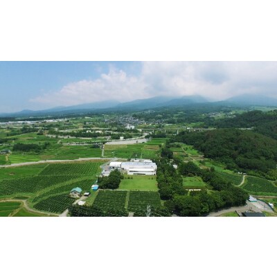 ソラリス 信州 千曲川産メルロー 750ml×6本