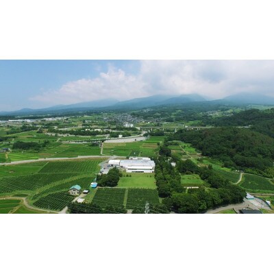 ソラリス 千曲川 メルロー 750ml×6本