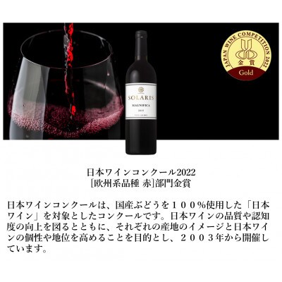 ソラリス マニフィカ 2015