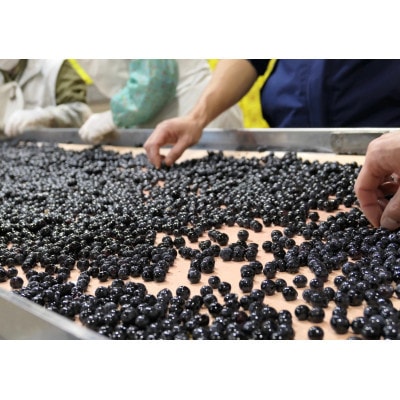 日本ワイン ソラリス 小諸 メルロー 750ml×1本  赤ワイン