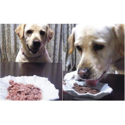 小諸産シカ肉ウェットフード(犬・猫用)100g×10袋