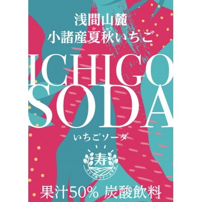 いちごソーダ 250ml入×2本セット 浅間山麓 小諸産 夏秋いちご(果汁50% 炭酸飲料)