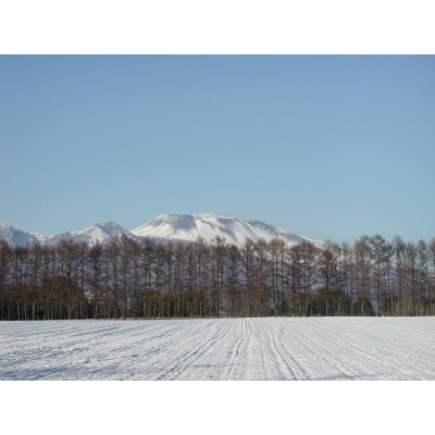 大寒仕込み　山吹味噌　500g×4個