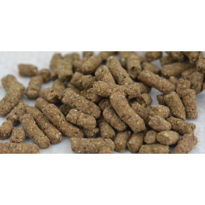 小諸産シカ肉ドライフード(犬・猫用)100g×10袋