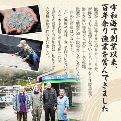 <今市水産 ちりめんバラエティセットB>　詰合せ　食べ比べ　魚介　西予　明浜