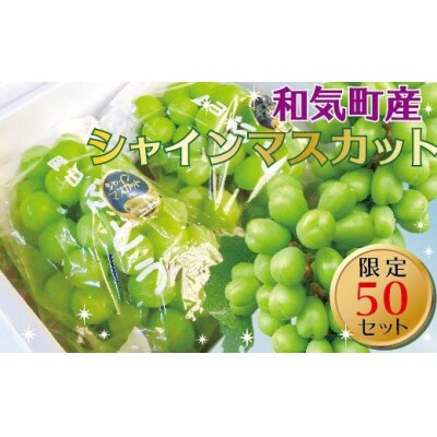 シャインマスカットぶどう2.0kg(3〜4房)gg-102