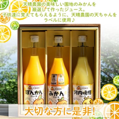 愛媛県明浜産　天晴兄妹みかんジュース(天晴みかん・ぽんかん・河内晩柑) 3種類セット