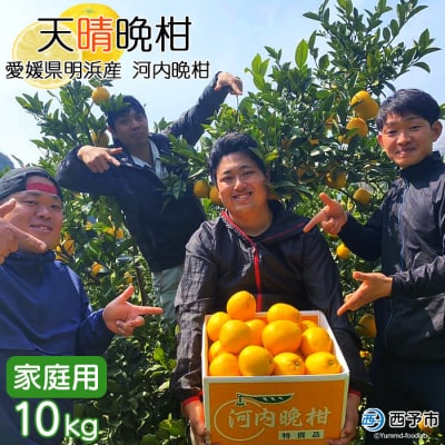 愛媛県明浜産　天晴晩柑(河内晩柑)　10kg
