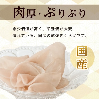 国産乾燥きくらげ 白　30g×4個【FJ007】