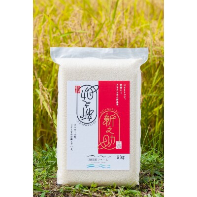 新之助　5kg