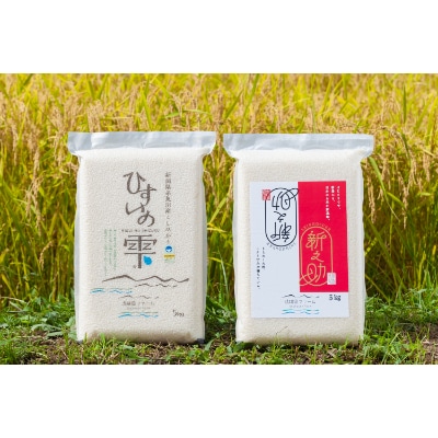 コシヒカリ「ひすいの雫」5kg&新之助5kg　食べ比べセット