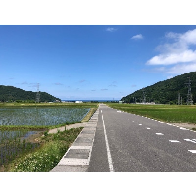 コシヒカリ「ひすいの雫」5kg&新之助5kg　食べ比べセット