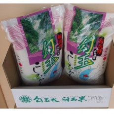 令和5年産 勾玉米こしひかり5kg×2袋