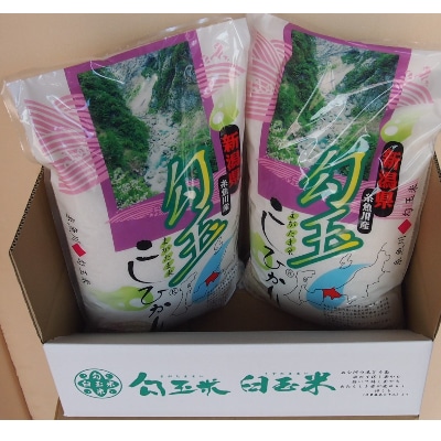 令和6年産 勾玉米こしひかり5kg×2袋