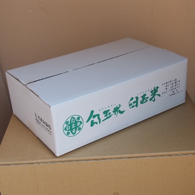 令和6年産 勾玉米こしひかり5kg×2袋