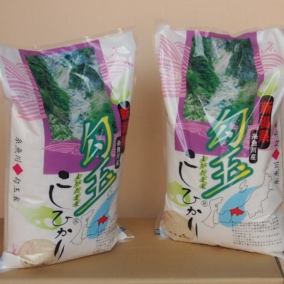 令和6年産 勾玉米こしひかり5kg×2袋