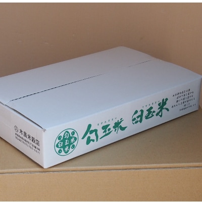 令和7年産 臼玉米(こしいぶき)5kg