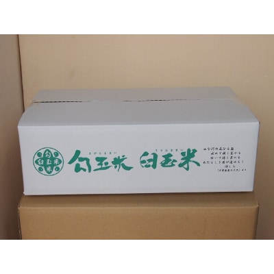 令和6年産 勾玉米5kg・臼玉米5kg食べくらべセット | 新潟県