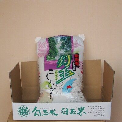 令和6年産  勾玉米こしひかり  精米5kg