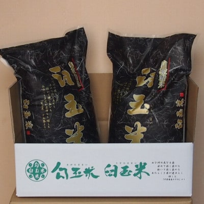 令和6年産 臼玉米(こしいぶき・精米)5kg×2