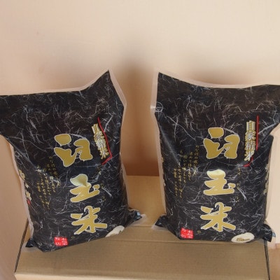 令和6年産 臼玉米(こしいぶき・精米)5kg×2