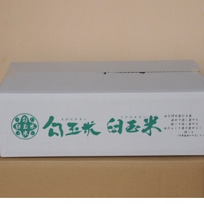 臼玉米(こしいぶき・精米)15kg(5kg×3袋)