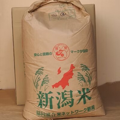 100%武川町産_玄米こしひかり（30kg）