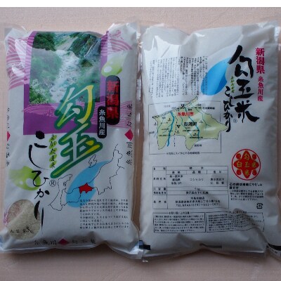 【毎月定期便】勾玉米こしひかり3kg×2袋全6回