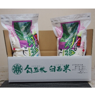 【毎月定期便】勾玉米こしひかり3kg×2袋全6回