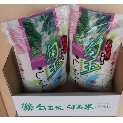【毎月定期便】勾玉米こしひかり精米5kg×2袋全6回